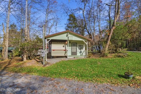 Tiny photo for 273 Harmony Way, Cosby, TN 37722 (MLS # 1321030)