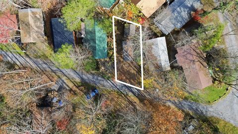 Tiny photo for 273 Harmony Way, Cosby, TN 37722 (MLS # 1321030)