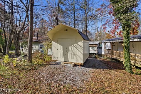 Tiny photo for 273 Harmony Way, Cosby, TN 37722 (MLS # 1321030)