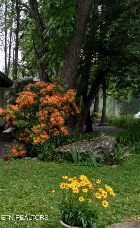 Tiny photo for 273 Harmony Way, Cosby, TN 37722 (MLS # 1321030)