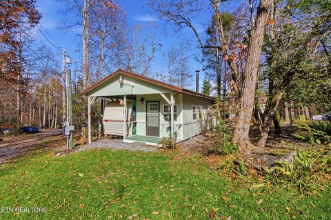 Tiny photo for 273 Harmony Way, Cosby, TN 37722 (MLS # 1321030)