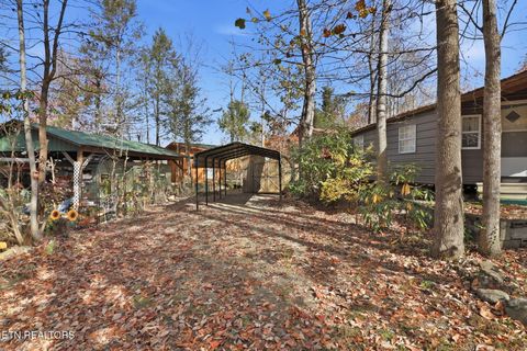 Tiny photo for 273 Harmony Way, Cosby, TN 37722 (MLS # 1321030)