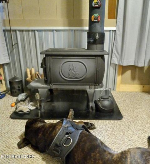 Tiny photo for 273 Harmony Way, Cosby, TN 37722 (MLS # 1321030)