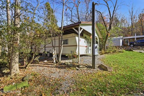 Tiny photo for 273 Harmony Way, Cosby, TN 37722 (MLS # 1321030)