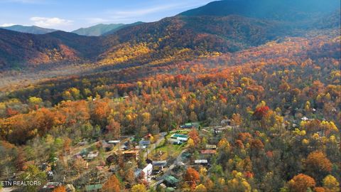 Tiny photo for 273 Harmony Way, Cosby, TN 37722 (MLS # 1321030)