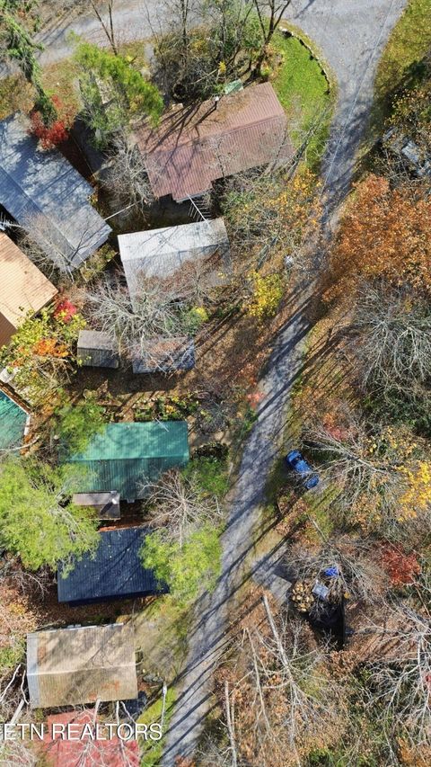 Tiny photo for 273 Harmony Way, Cosby, TN 37722 (MLS # 1321030)