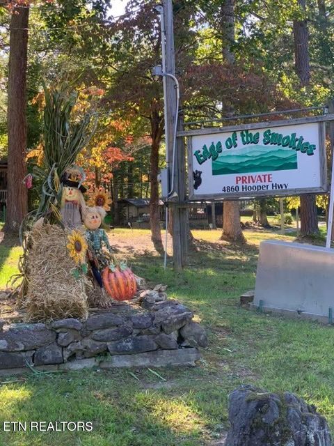 Tiny photo for 273 Harmony Way, Cosby, TN 37722 (MLS # 1321030)