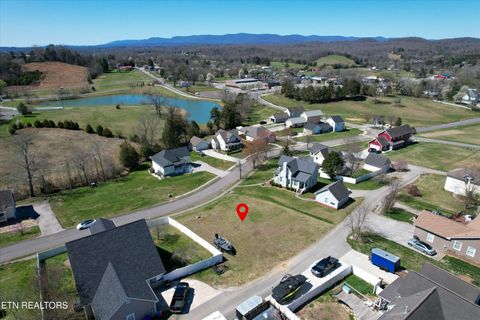 LARKSPUR  DRIVE Andersonville TN 37705