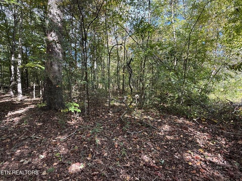 Tiny photo for 1311 Choto Rd, Knoxville, TN 37922 (MLS # 1359575)