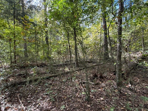 Tiny photo for 1311 Choto Rd, Knoxville, TN 37922 (MLS # 1359575)