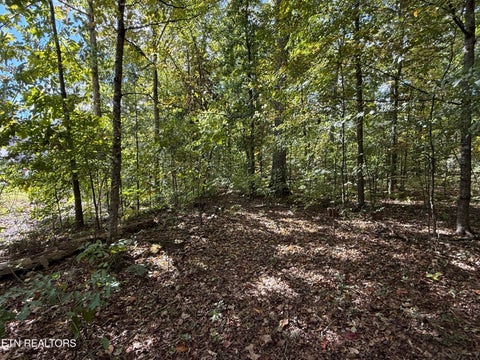 Tiny photo for 1311 Choto Rd, Knoxville, TN 37922 (MLS # 1359575)