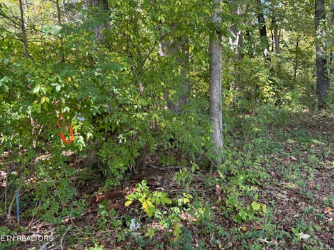 Tiny photo for 1311 Choto Rd, Knoxville, TN 37922 (MLS # 1359575)