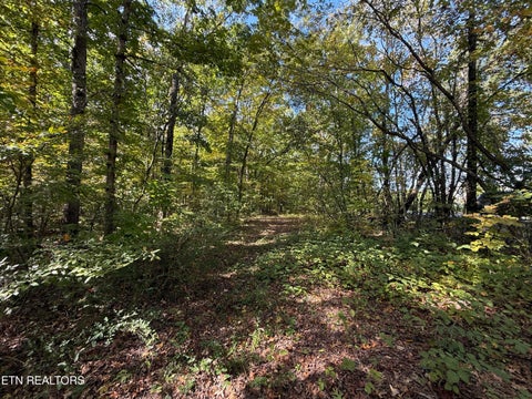 Tiny photo for 1311 Choto Rd, Knoxville, TN 37922 (MLS # 1359575)