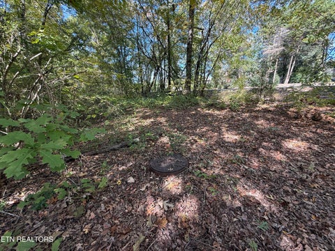 Tiny photo for 1311 Choto Rd, Knoxville, TN 37922 (MLS # 1359575)