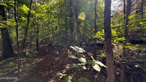 Tiny photo for 1311 Choto Rd, Knoxville, TN 37922 (MLS # 1359575)