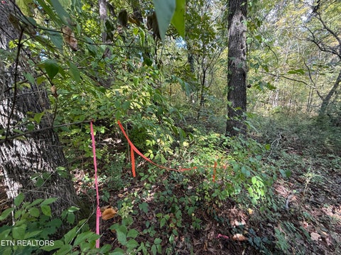 Tiny photo for 1311 Choto Rd, Knoxville, TN 37922 (MLS # 1359575)