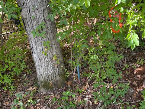 Tiny photo for 1311 Choto Rd, Knoxville, TN 37922 (MLS # 1359575)