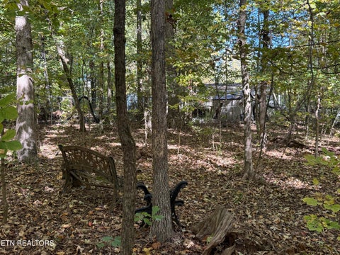 Tiny photo for 1311 Choto Rd, Knoxville, TN 37922 (MLS # 1359575)