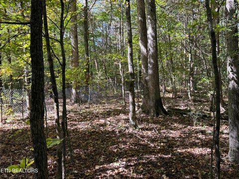 Tiny photo for 1311 Choto Rd, Knoxville, TN 37922 (MLS # 1359575)