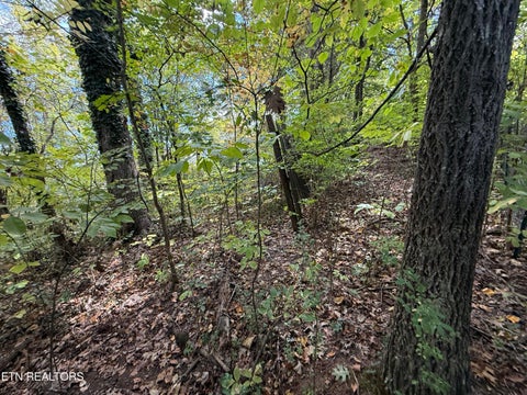 Tiny photo for 1311 Choto Rd, Knoxville, TN 37922 (MLS # 1359575)