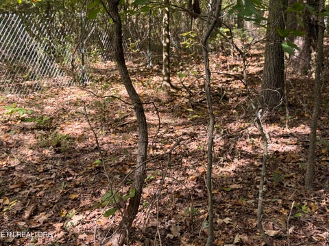 Tiny photo for 1311 Choto Rd, Knoxville, TN 37922 (MLS # 1359575)