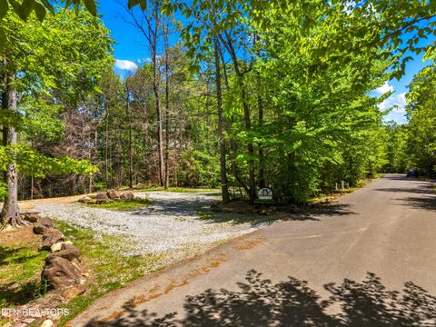 Photo of 204 Amet Way, Cosby, TN 37722 (MLS # 1342279)