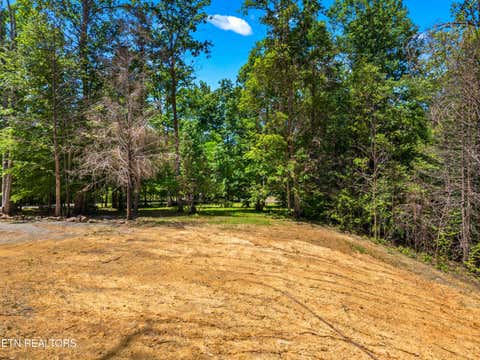 Tiny photo for 204 Amet Way, Cosby, TN 37722 (MLS # 1342279)