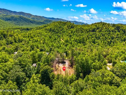 Tiny photo for 204 Amet Way, Cosby, TN 37722 (MLS # 1342279)