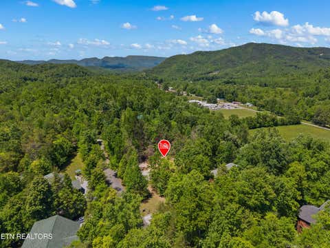 Tiny photo for 204 Amet Way, Cosby, TN 37722 (MLS # 1342279)