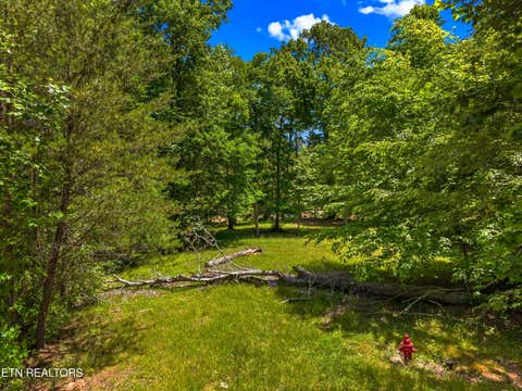 Tiny photo for 204 Amet Way, Cosby, TN 37722 (MLS # 1342279)