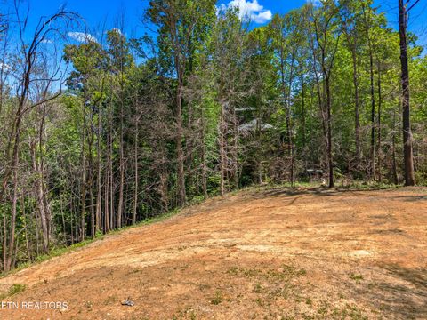 Tiny photo for 204 Amet Way, Cosby, TN 37722 (MLS # 1342279)