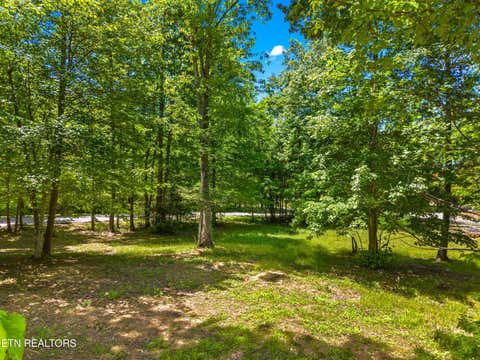 Tiny photo for 204 Amet Way, Cosby, TN 37722 (MLS # 1342279)