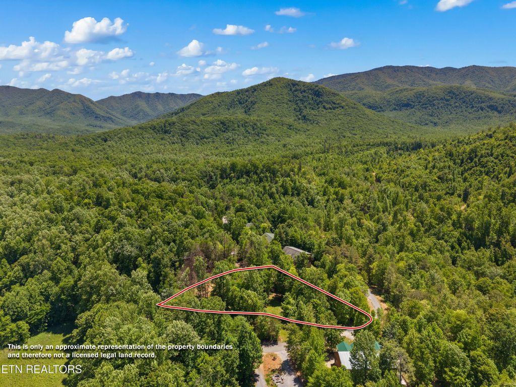 Photo of 204 Amet Way, Cosby, TN 37722 (MLS # 1342279)