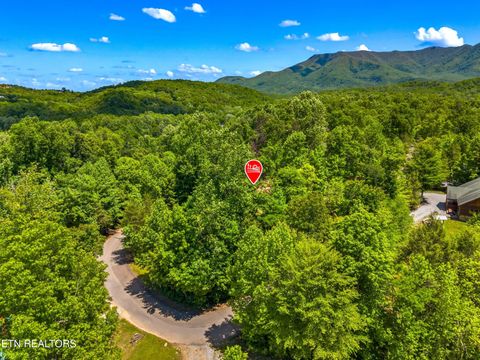 Tiny photo for 204 Amet Way, Cosby, TN 37722 (MLS # 1342279)