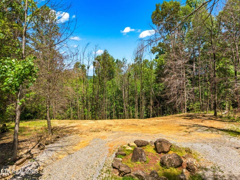 Tiny photo for 204 Amet Way, Cosby, TN 37722 (MLS # 1342279)