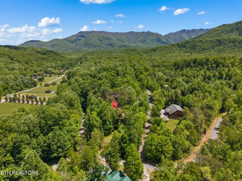Tiny photo for 204 Amet Way, Cosby, TN 37722 (MLS # 1342279)