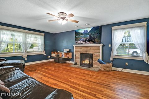 Tiny photo for 181 Braun St, Crossville, TN 38555 (MLS # 1317426)