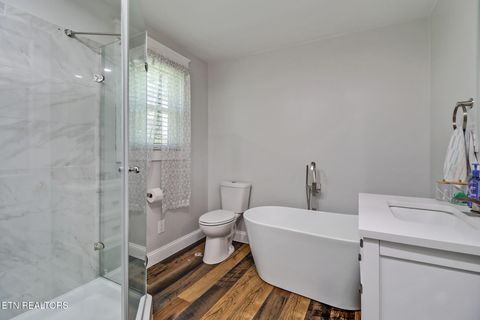 Tiny photo for 181 Braun St, Crossville, TN 38555 (MLS # 1317426)