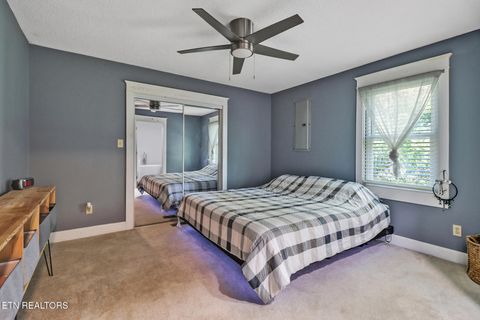 Tiny photo for 181 Braun St, Crossville, TN 38555 (MLS # 1317426)