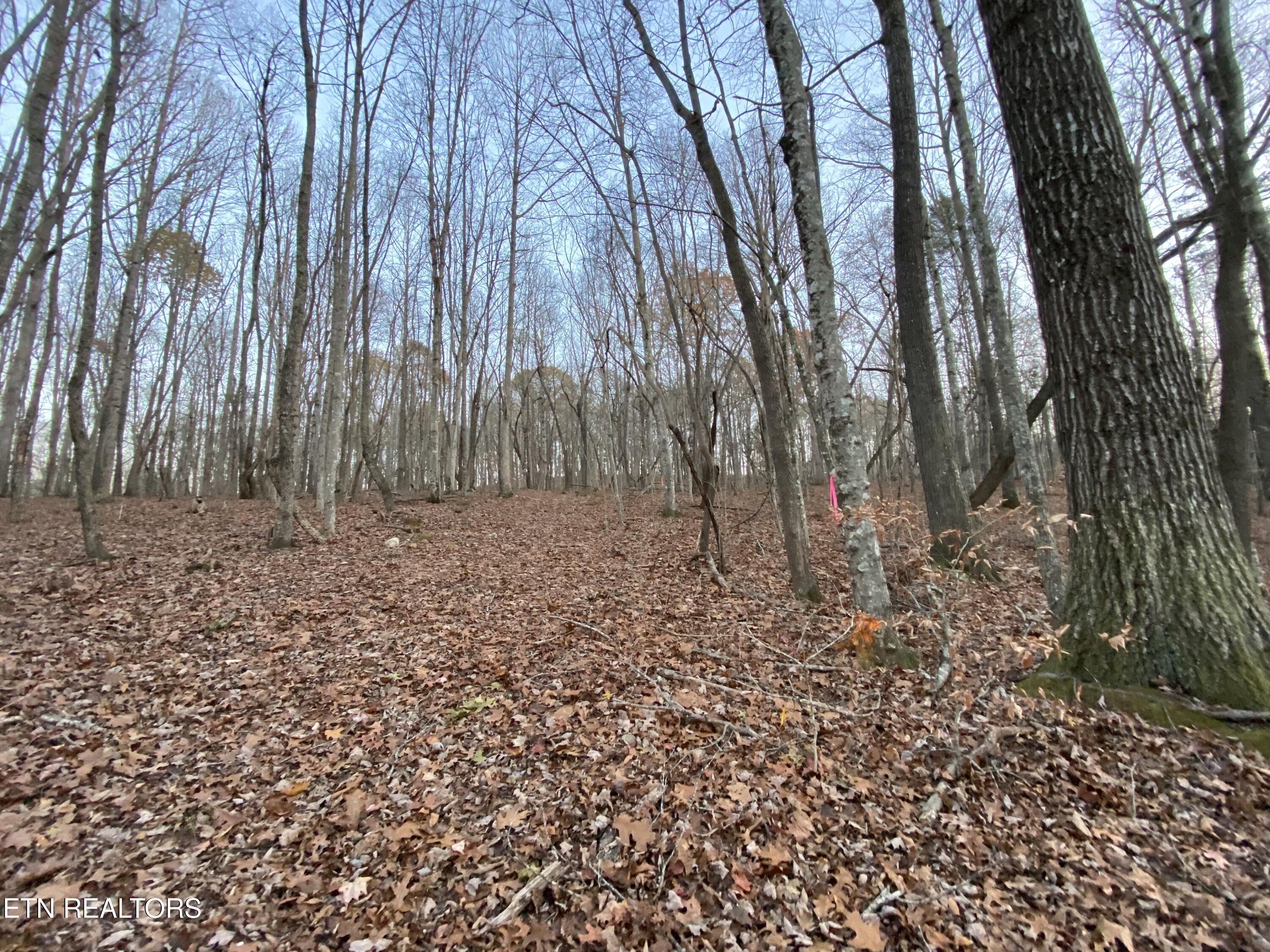 1.01ac Hiwassee View Drive