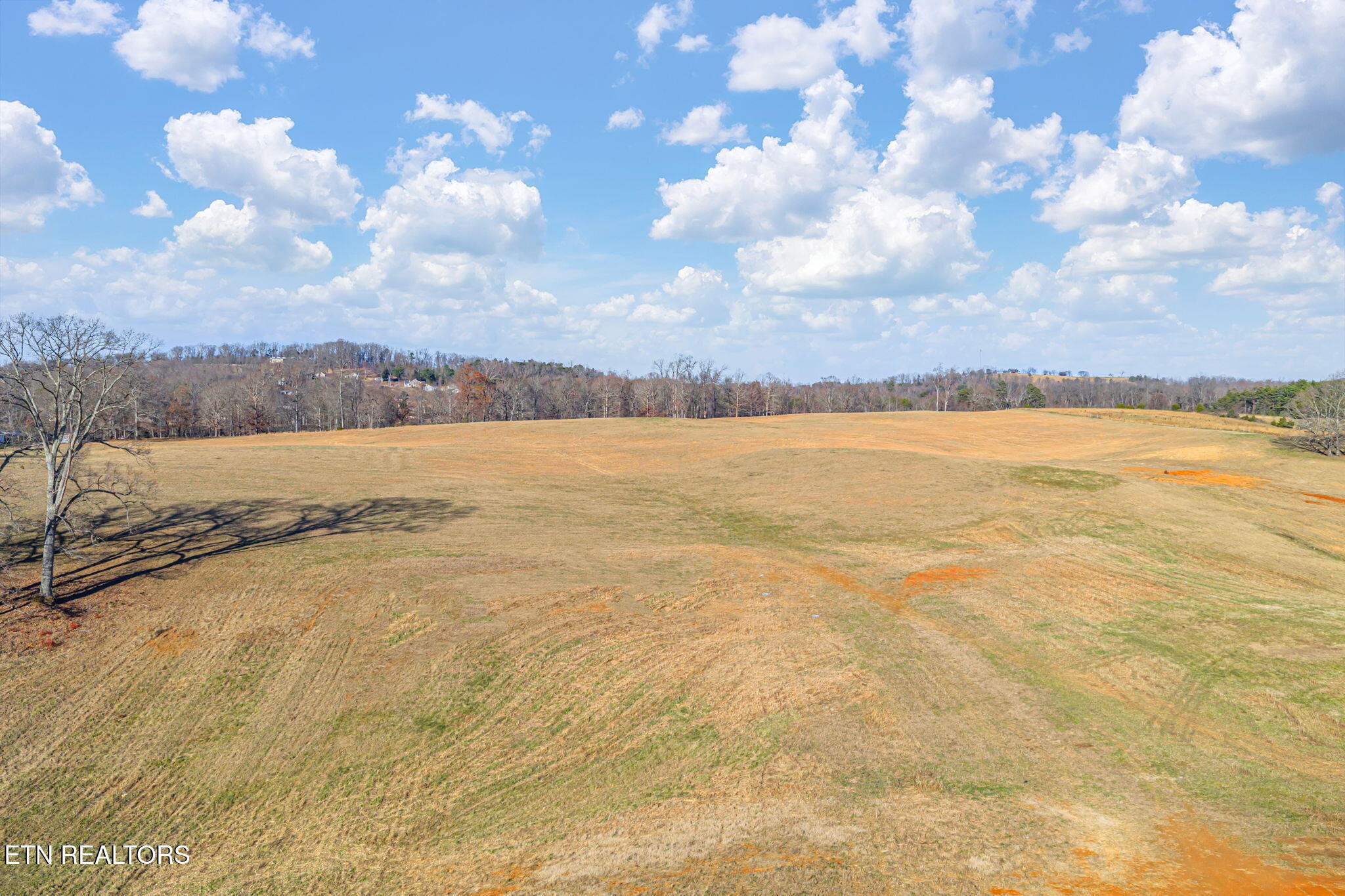 Strawberry Plains, Tennessee, 37871, United States, 3 Bedrooms Bedrooms, ,2 BathroomsBathrooms,Residential,Active,2007043