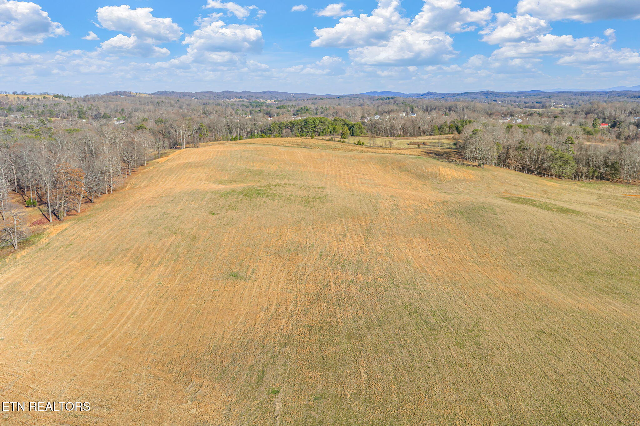 Strawberry Plains, Tennessee, 37871, United States, 3 Bedrooms Bedrooms, ,2 BathroomsBathrooms,Residential,Active,2007043