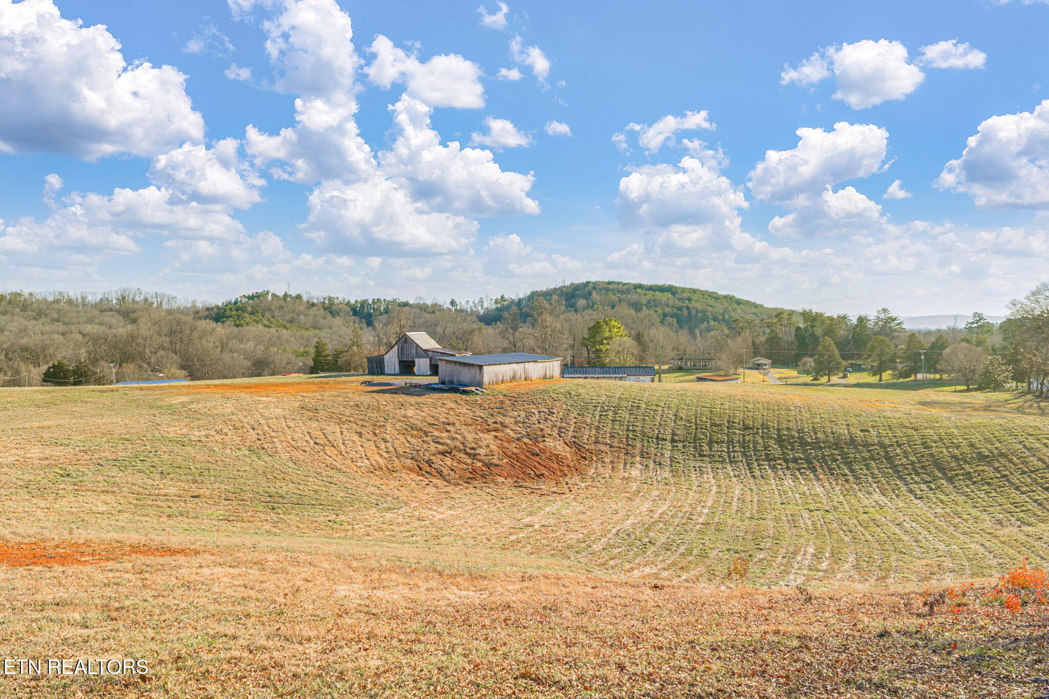 Strawberry Plains, Tennessee, 37871, United States, 3 Bedrooms Bedrooms, ,2 BathroomsBathrooms,Residential,Active,2007043