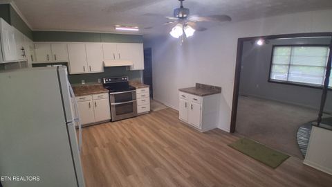 Tiny photo for 106 Walnut St, New Tazewell, TN 37825 (MLS # 1342843)