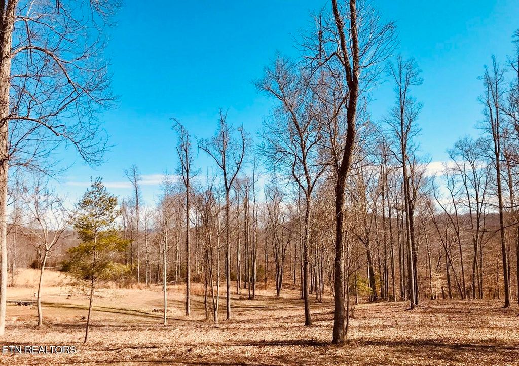 Photo of 0 Emerald Cove Way, Maynardville, TN 37807 (MLS # 1303938)