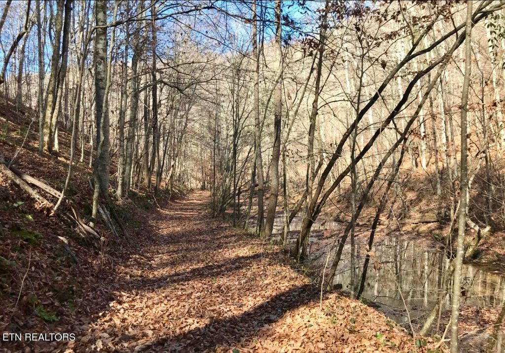 Photo of 0 Emerald Cove Way, Maynardville, TN 37807 (MLS # 1303938)