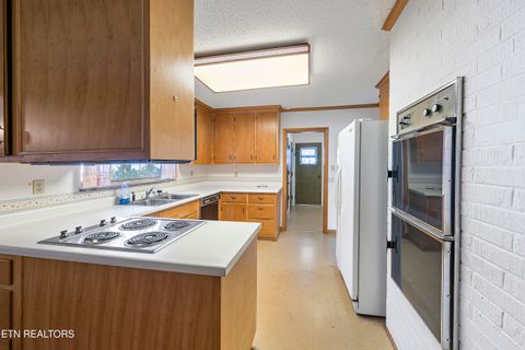 Tiny photo for 1233 Cherokee Blvd, Knoxville, TN 37919 (MLS # 1299120)