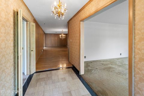 Tiny photo for 1233 Cherokee Blvd, Knoxville, TN 37919 (MLS # 1299120)