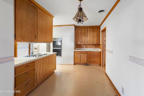 Tiny photo for 1233 Cherokee Blvd, Knoxville, TN 37919 (MLS # 1299120)