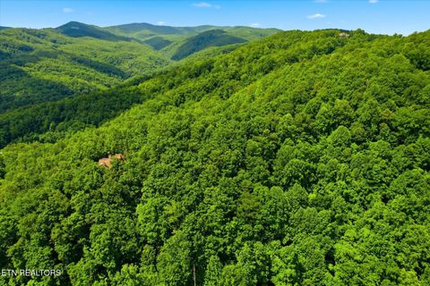 Tiny photo for Woodfern Way, Gatlinburg, TN 37738 (MLS # 1342797)
